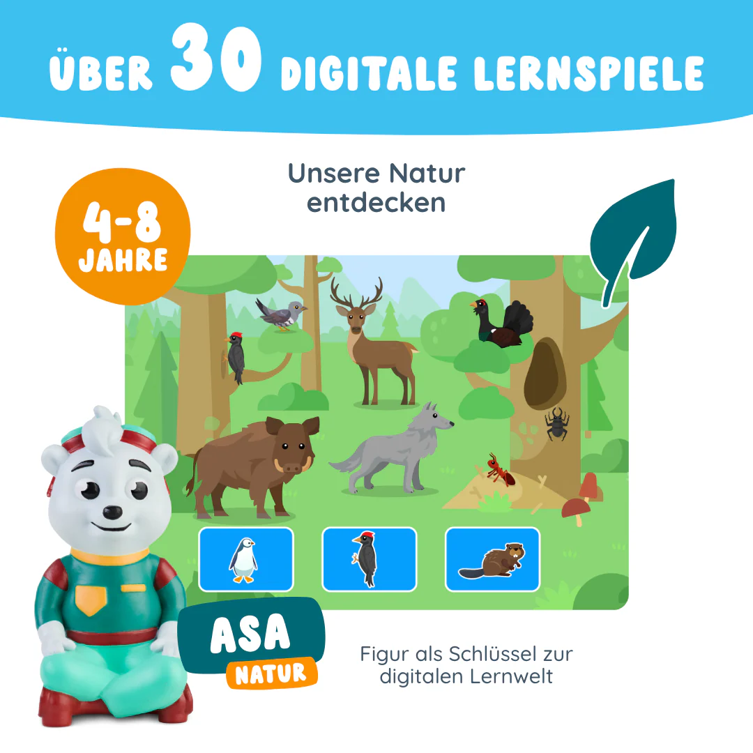 Vorschaubild 3