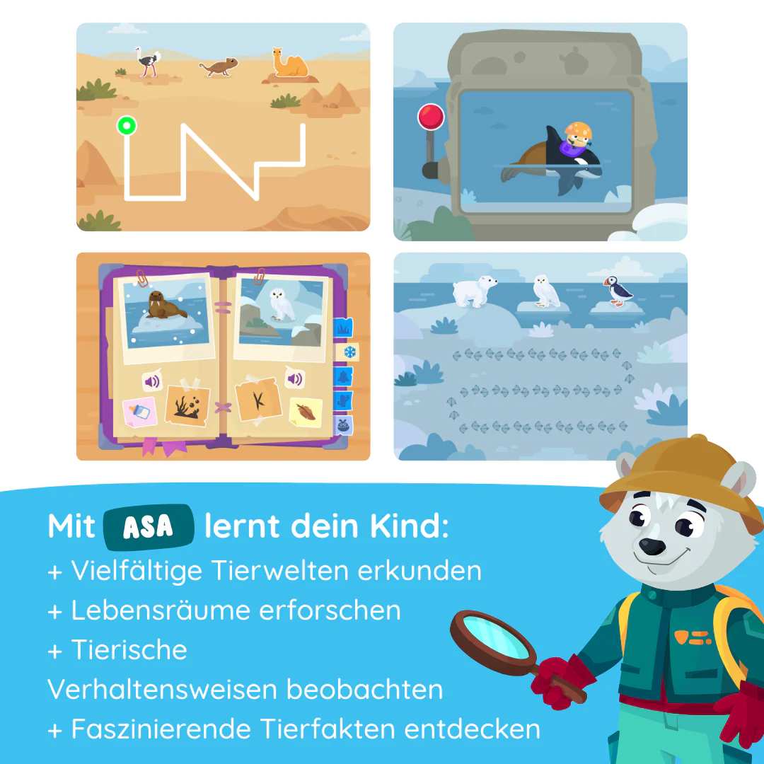 Vorschaubild 4